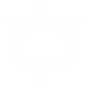 Helm